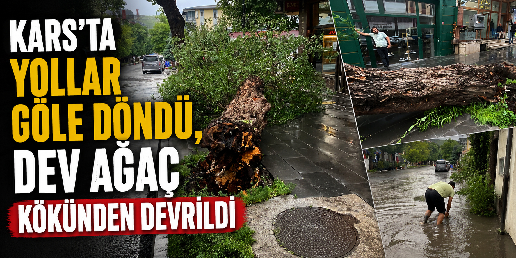 Kars'ta Yollar Göle Döndü, Dev Ağaç Kökünden Devrildi