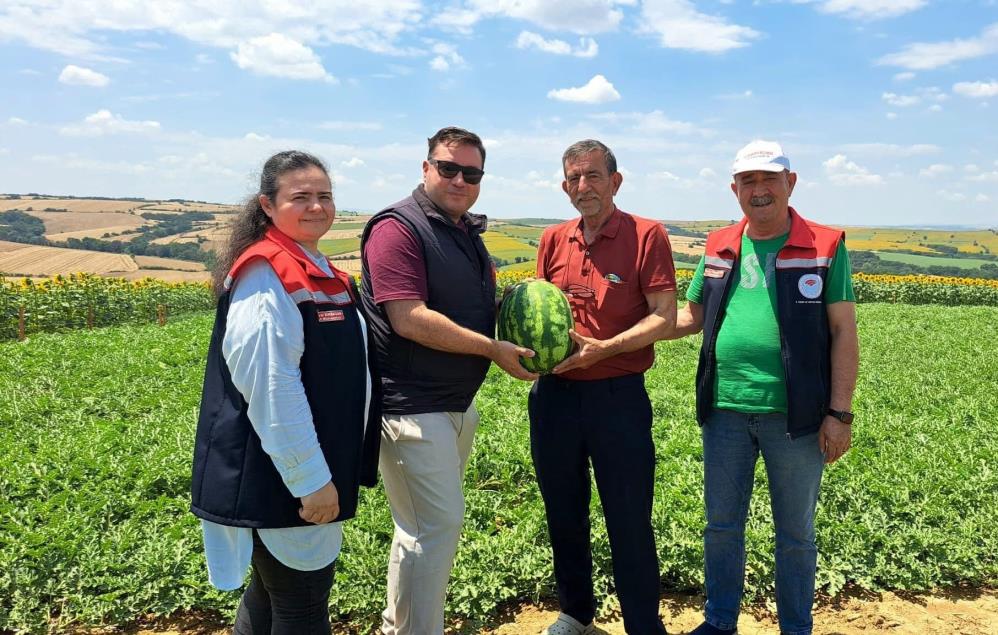 Tekirdağ'da ilk karpuz hasadı başladı