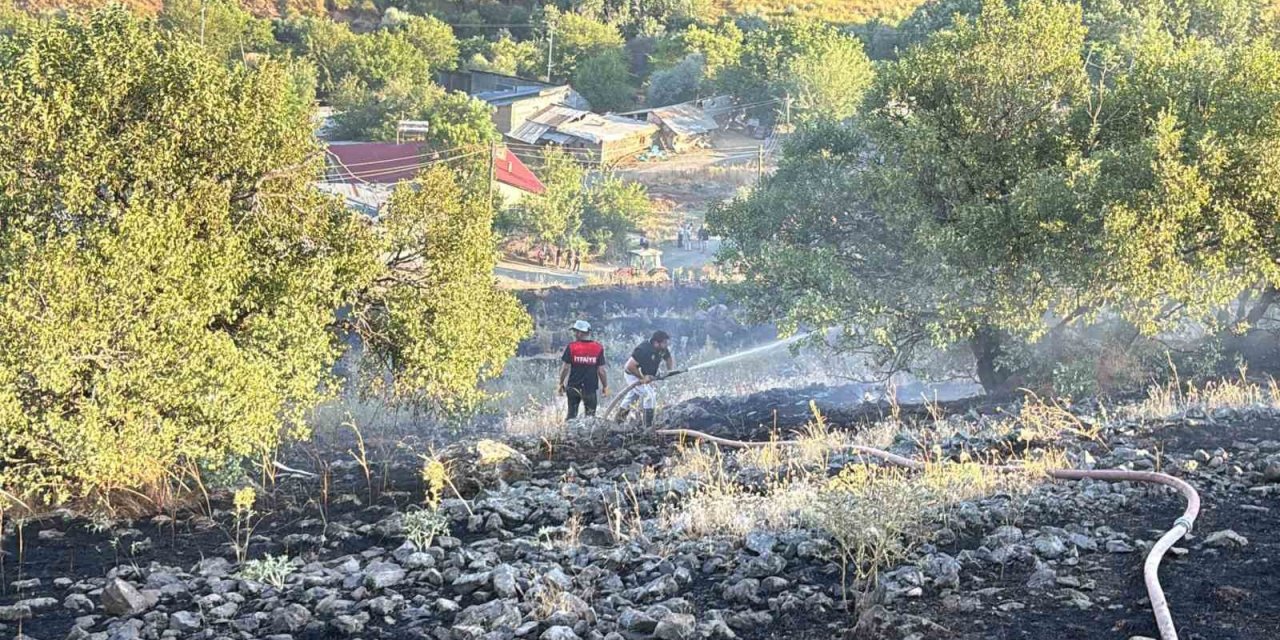 Elazığ’da arazi yangını