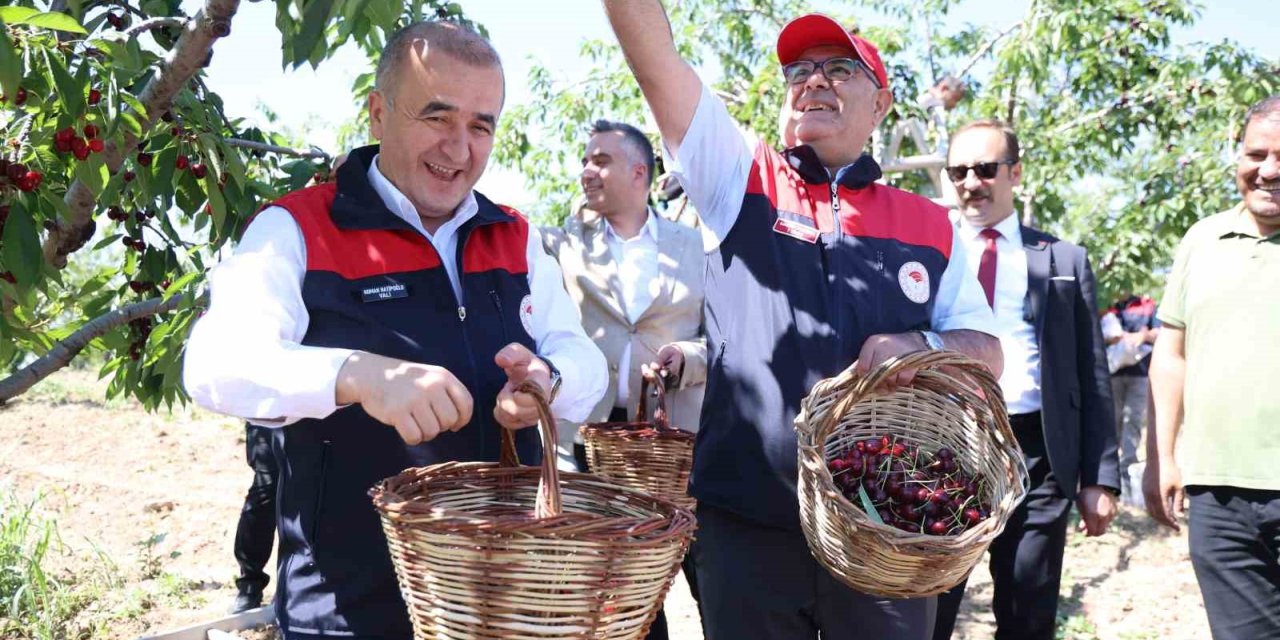 Elazığ’da 7 bin dekar alanda kiraz hasadı devam ediyor