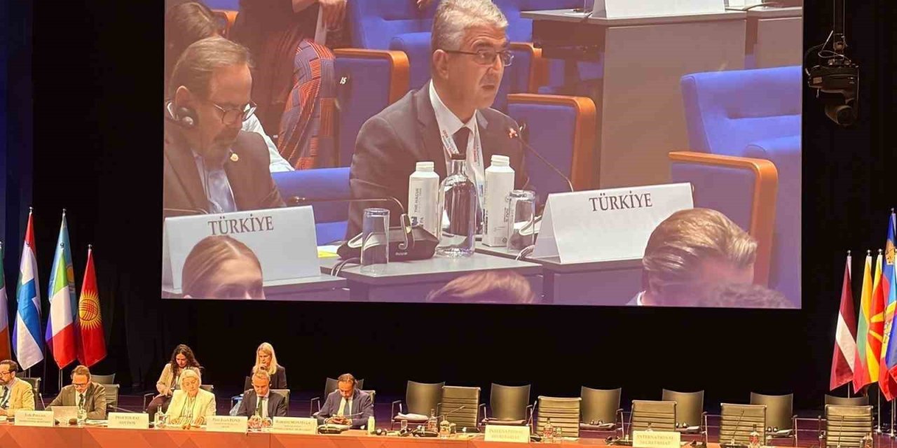 AGİT’te Türkiye rüzgarı: MHP’li Aydın’dan gençleri dijital tehditlerden koruyacak tarihi tasarı
