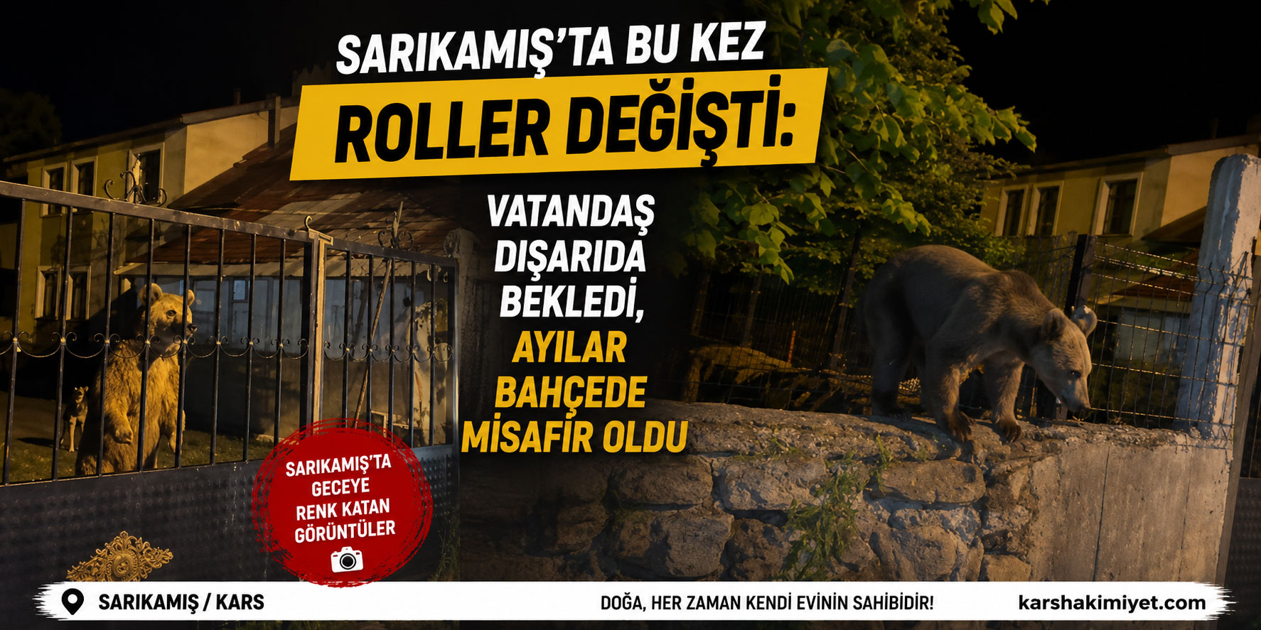 Sarıkamış'ta bu kez roller değişti: Vatandaş dışarıda bekledi, ayılar bahçede misafir oldu