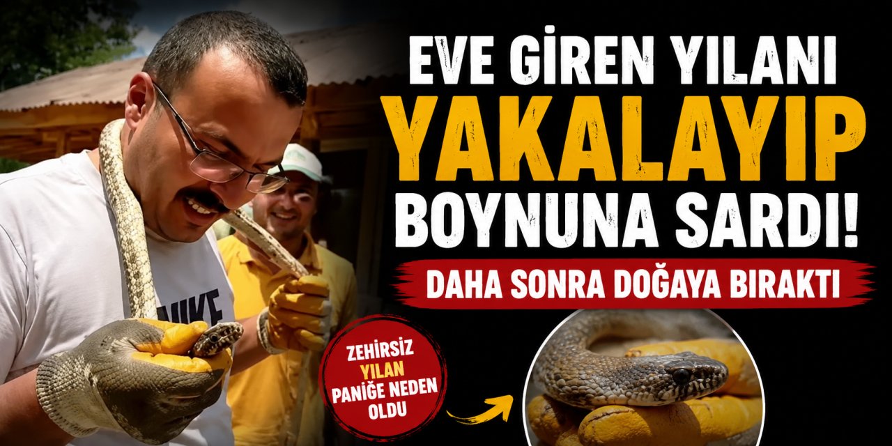 Eve Giren Yılanı Boynuna Sarıp Doğaya Bıraktı
