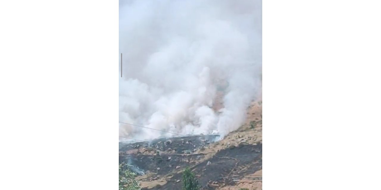 Bitlis’te dağlık alanda yangın: Binlerce arı telef oldu