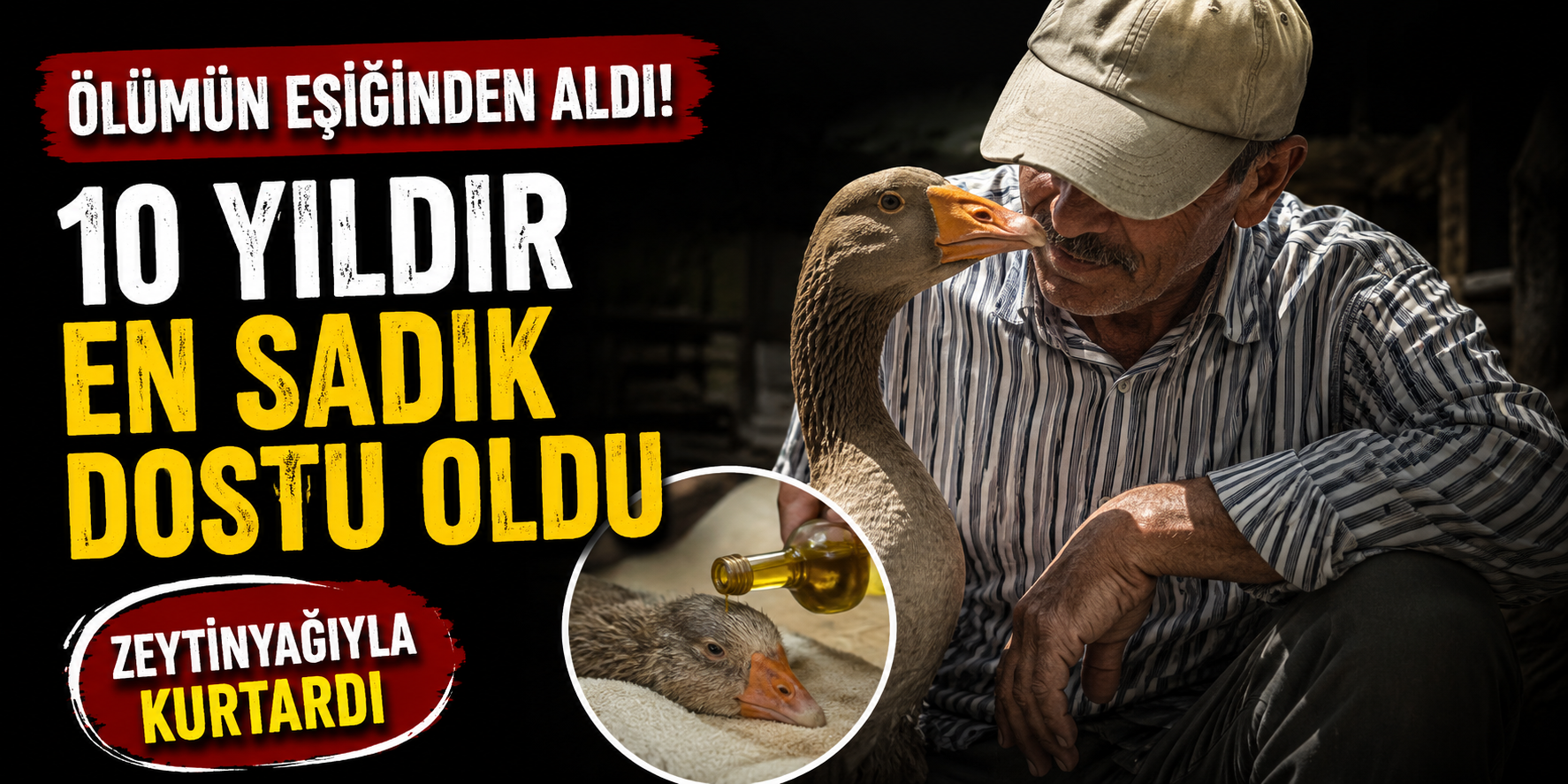 Ölümün Eşiğinden Aldığı Kaz, 10 Yıldır En Sadık Dostu Oldu