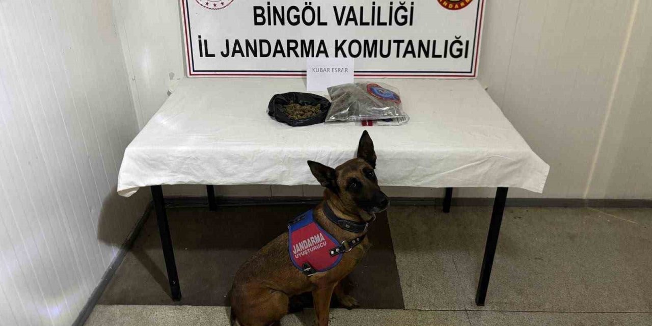 Bingöl’de haklarında kesinleşmiş hapis cezası bulunan 4 zanlı tutuklandı