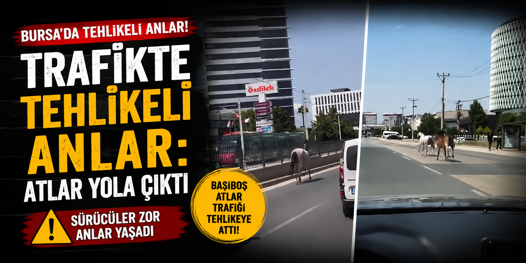 Trafikte Tehlikeli Anlar: Atlar Yola Çıktı