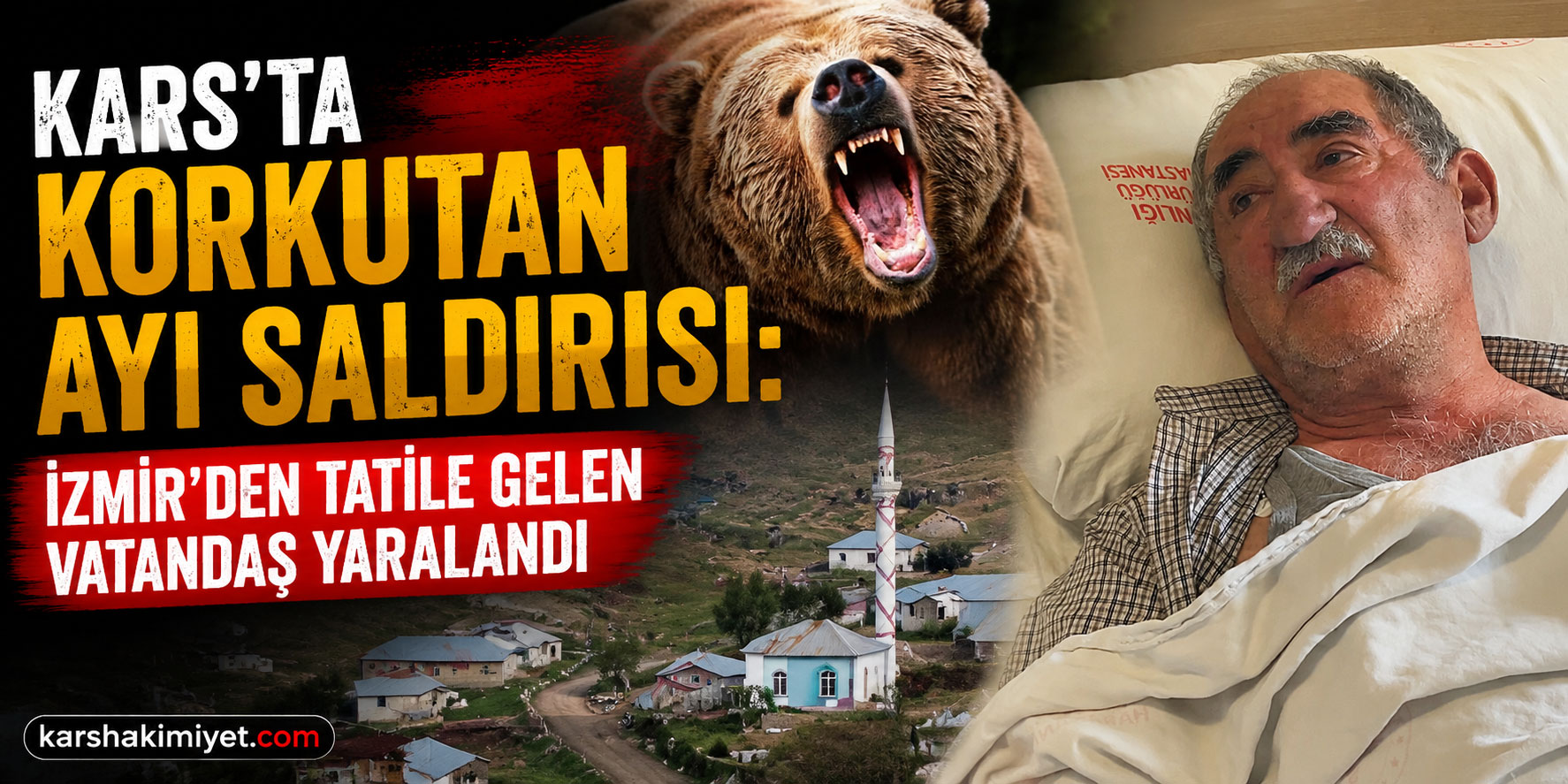 Kars'ta Korkutan Ayı Saldırısı: İzmir'den Tatile Gelen Vatandaş Yaralandı
