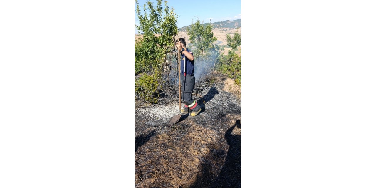 Bingöl’de yol kenarında çıkan yangın söndürüldü