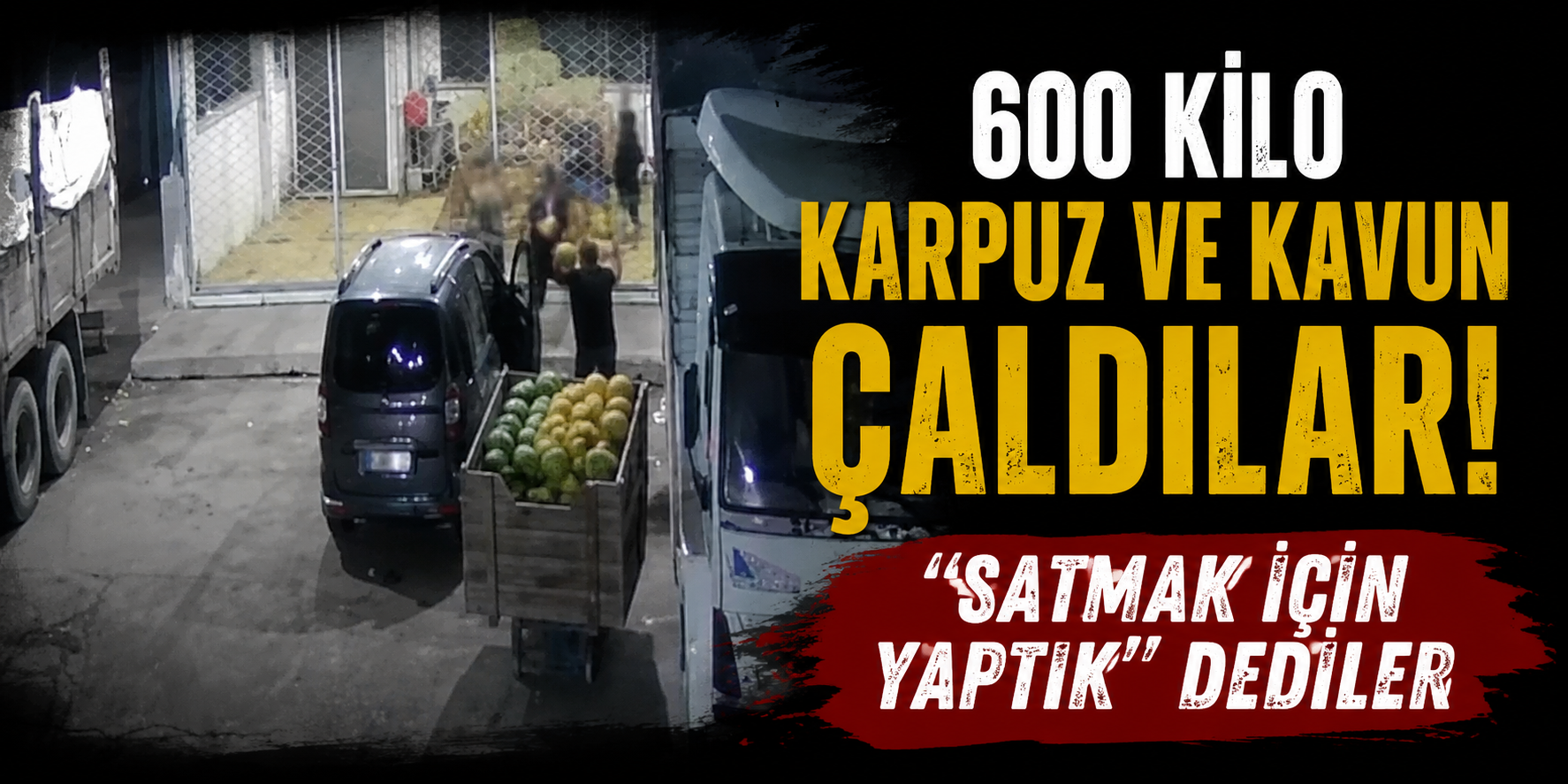 600 Kilo Karpuz ve Kavun Çaldılar: "Satmak İçin Yaptık" Dediler