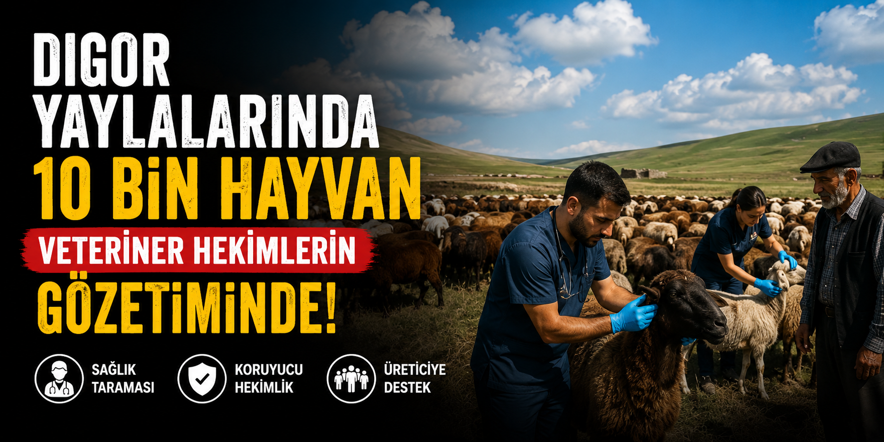 Digor Yaylalarında 10 Bin Hayvan Veteriner Hekimlerin Gözetiminde