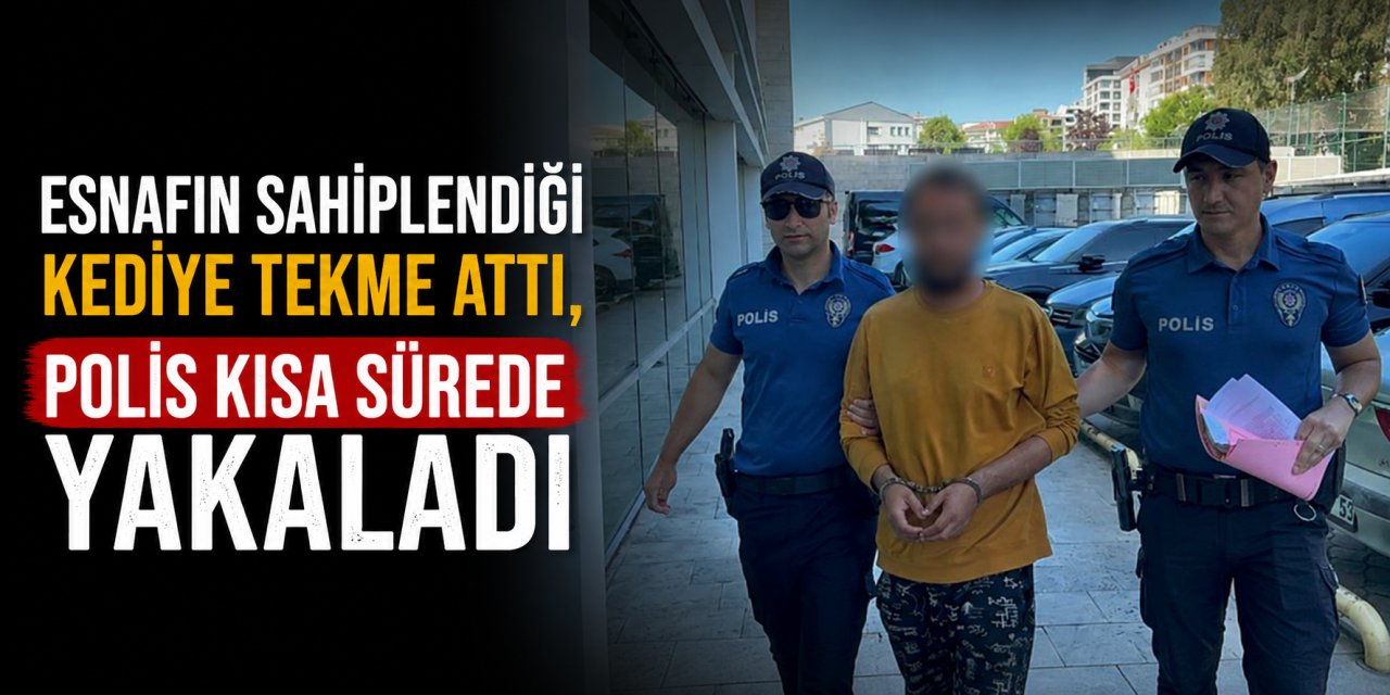 Esnafın Sahiplendiği Kediye Tekme Attı, Polis Kısa Sürede Yakaladı