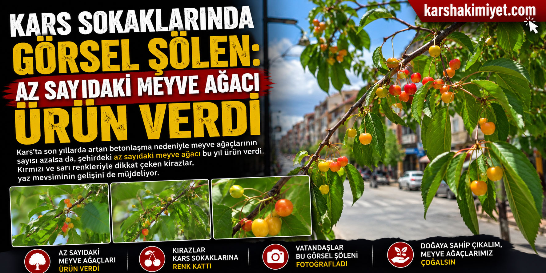 Kars Sokaklarında Görsel Şölen: Az Sayıdaki Meyve Ağacı Ürün Verdi