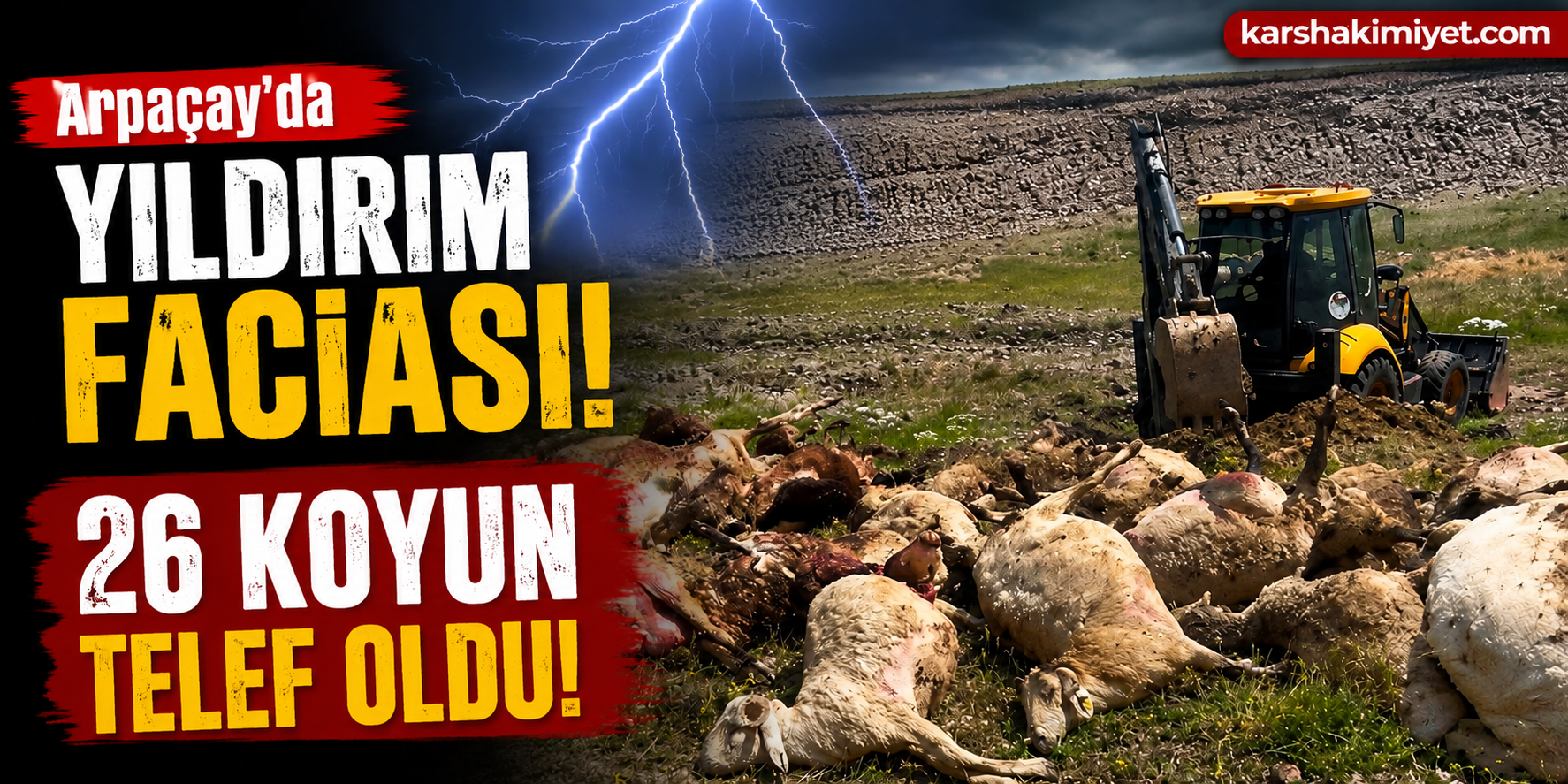 Arpaçay'da Yıldırım Faciası: 26 Koyun Telef Oldu