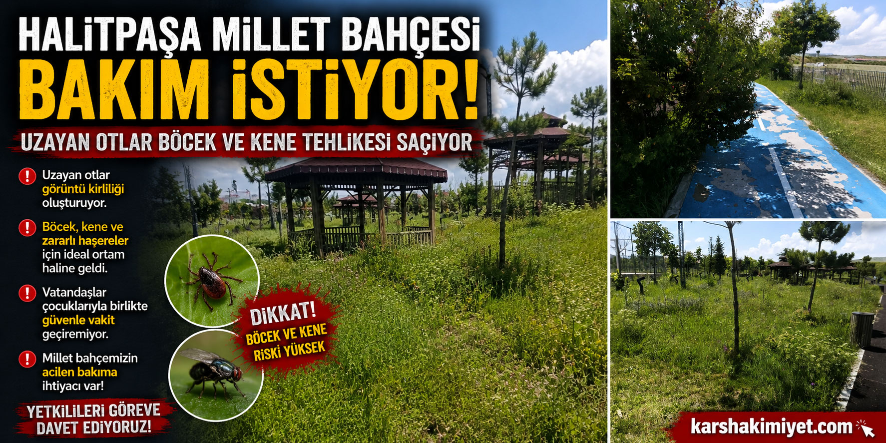 Halitpaşa Millet Bahçesi Bakım İstiyor! Uzayan Otlar Böcek Ve Kene Tehlikesi Saçıyor
