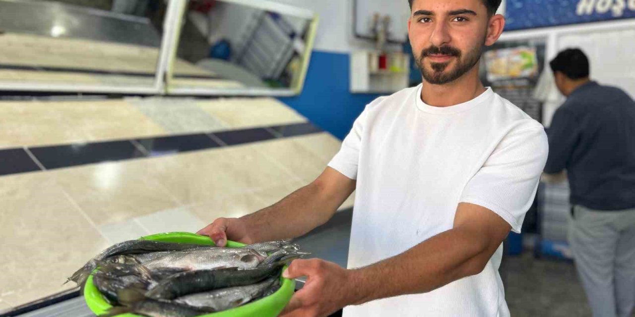 İnci kefali tezgâhlardaki yerini aldı