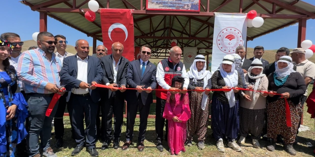 Yüksekova’da berivanlar gölgeliğe kavuştu