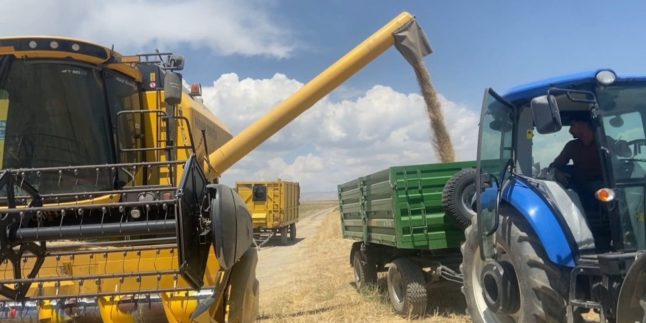 Tarımın kalbi Adilcevaz’da buğday hasadına başlandı
