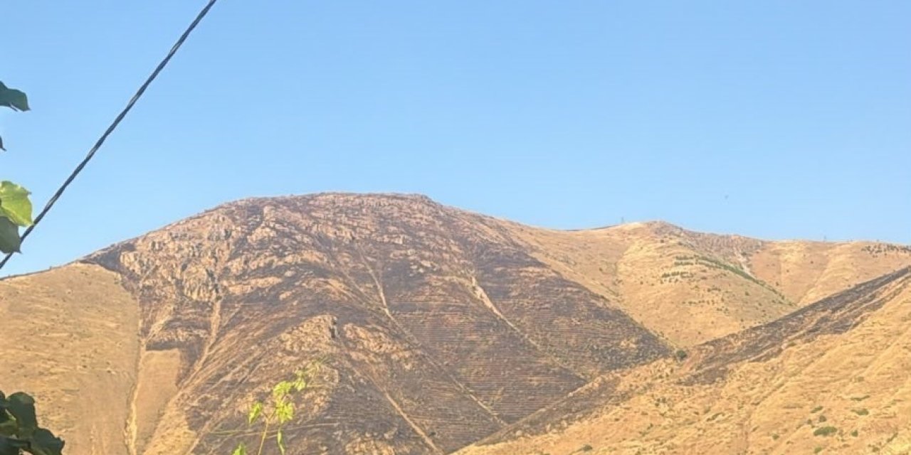 Elazığ’da dağlık alanda çıkan yangın söndürüldü