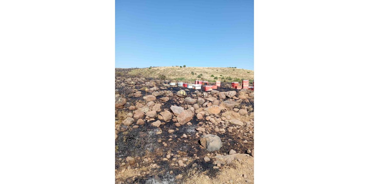 Elazığ’da arazi yangını: Arı kovanları zarar gördü