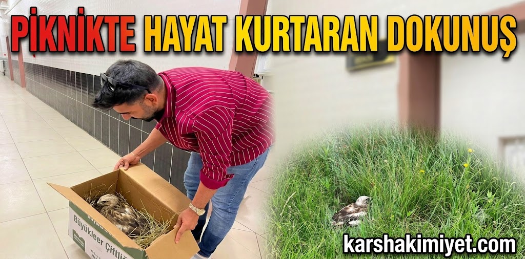 Piknikte Hayat Kurtaran Dokunuş