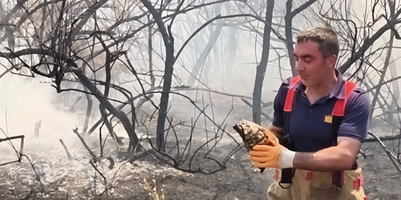 Yangının ortasında kalan kaplumbağayı itfaiye ekipleri kurtardı