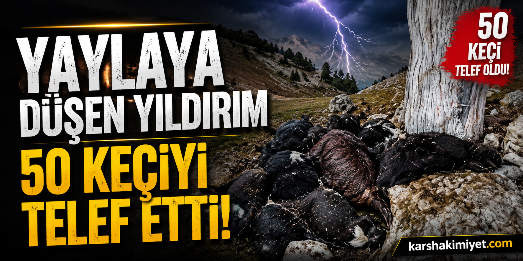 Yaylaya Düşen Yıldırım 50 Keçiyi Telef Etti