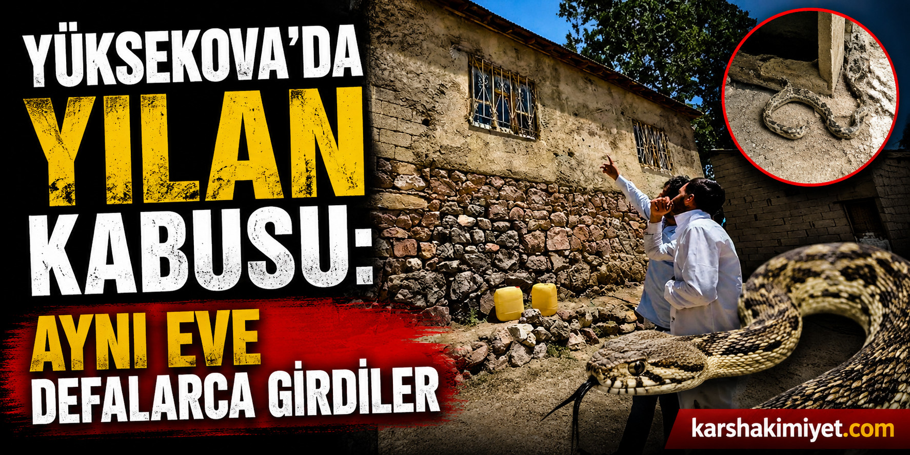 Yüksekova'da Yılan Kabusu: Aynı Eve Defalarca Girdiler