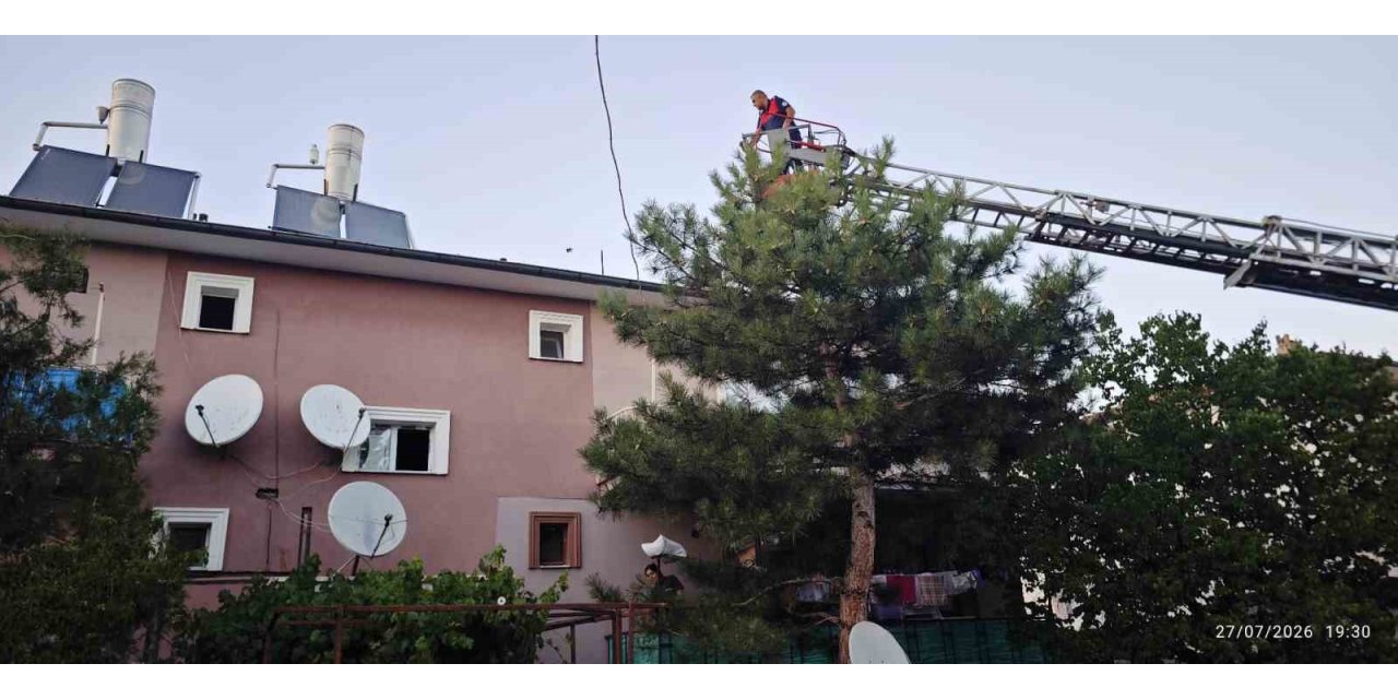 Apartman çatısında mahsur kalan kedi itfaiye ekiplerince kurtarıldı