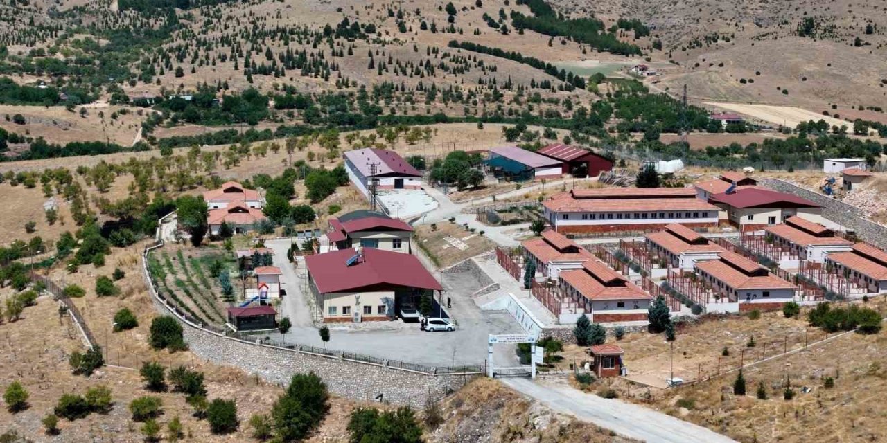 Geçici Hayvan Bakımevi ve Rehabilitasyon Merkezi’nde 15 bin sokak hayvanı tedavi edildi