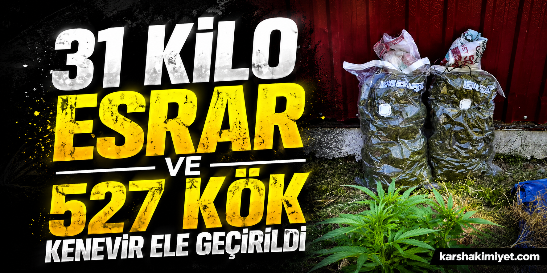 31 Kilo Esrar ve 527 Kök Kenevir Ele Geçirildi