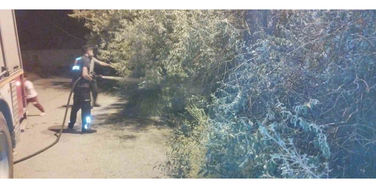 Van’da bahçe yangını korkuttu