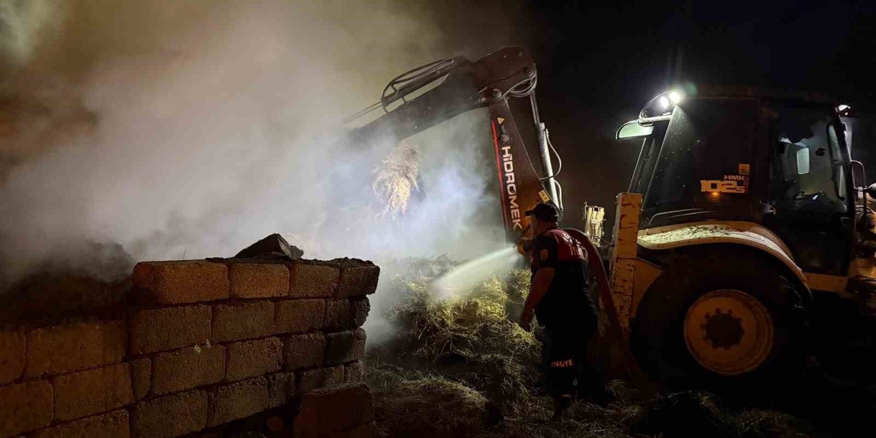 Iğdır’da 2 bin balya alevlere teslim oldu