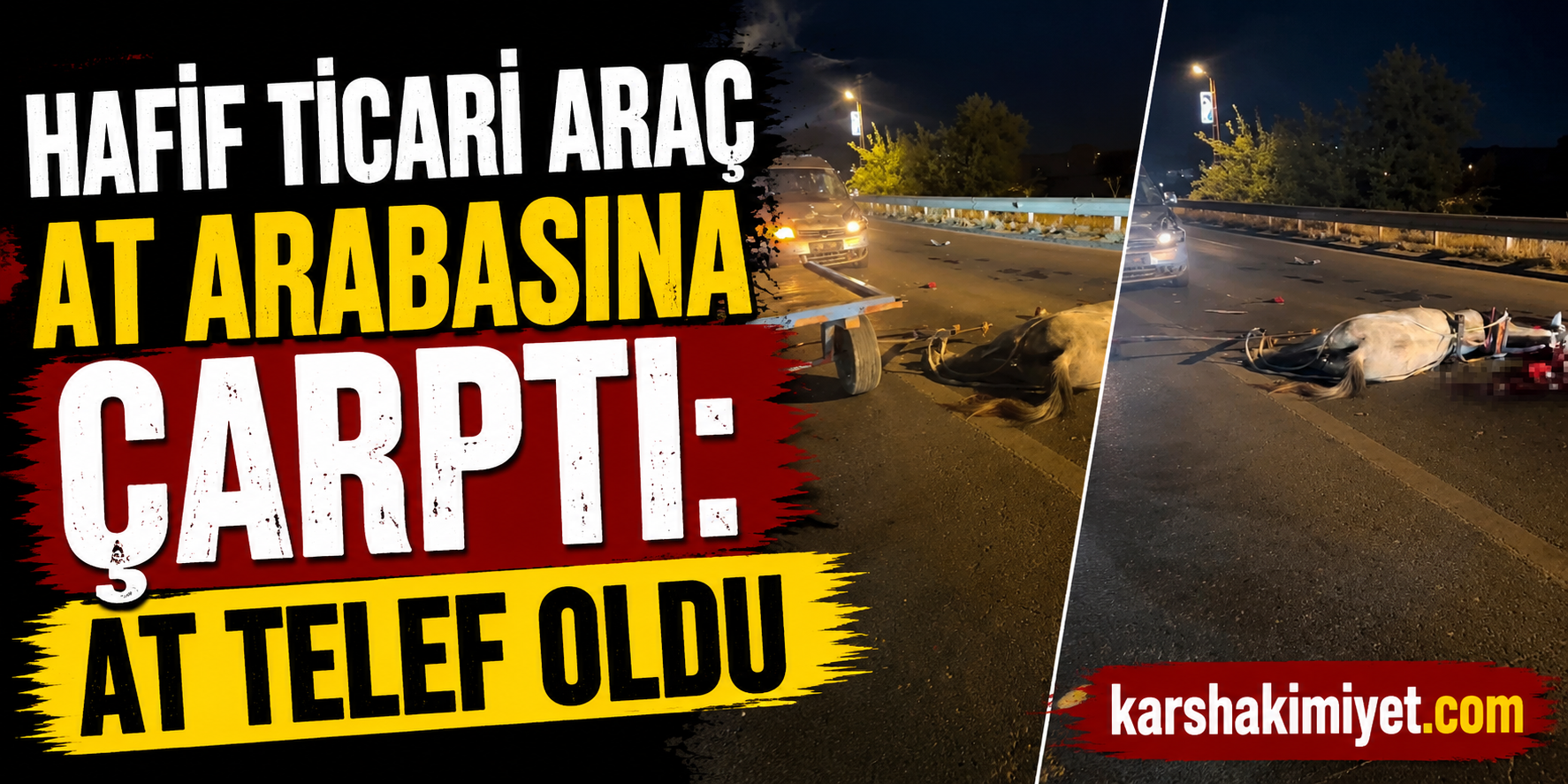 Hafif Ticari Araç At Arabasına Çarptı: At Telef Oldu