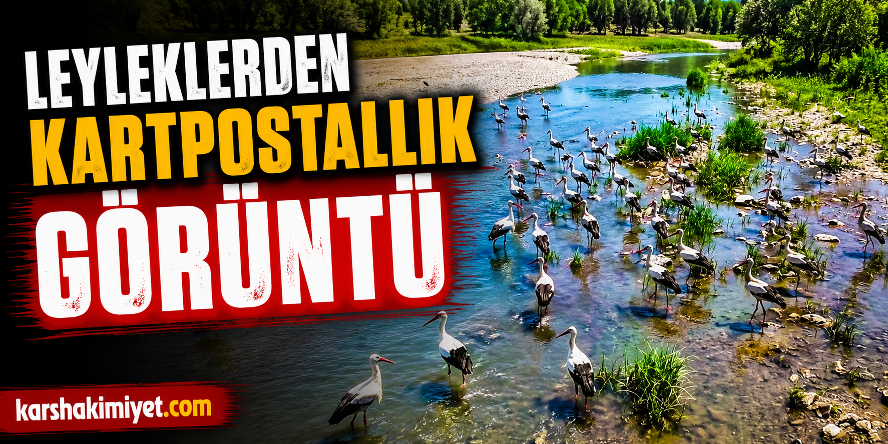 Leyleklerden Kartpostallık Görüntü
