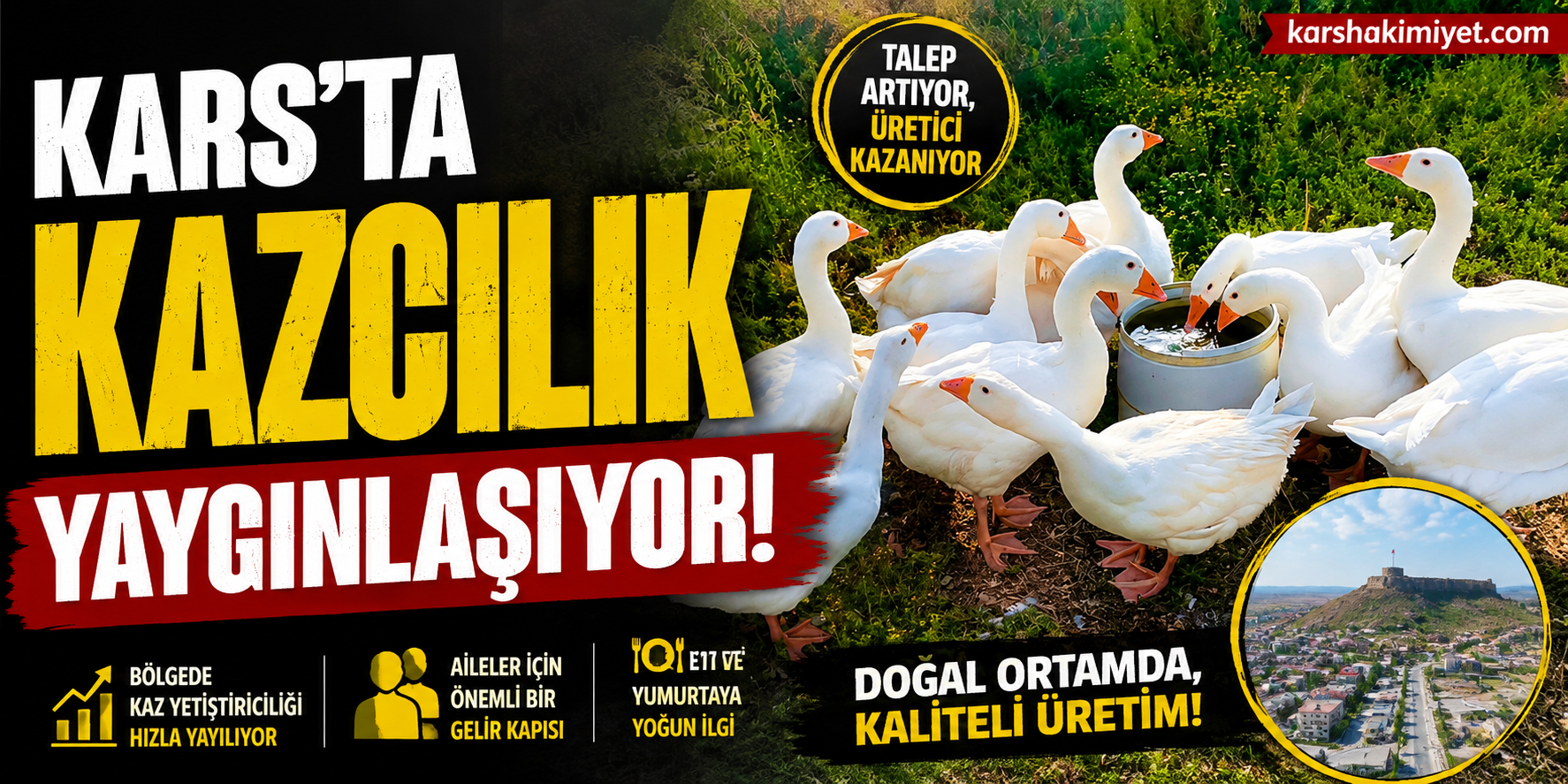 Kars’ta kazcılık yaygınlaşıyor