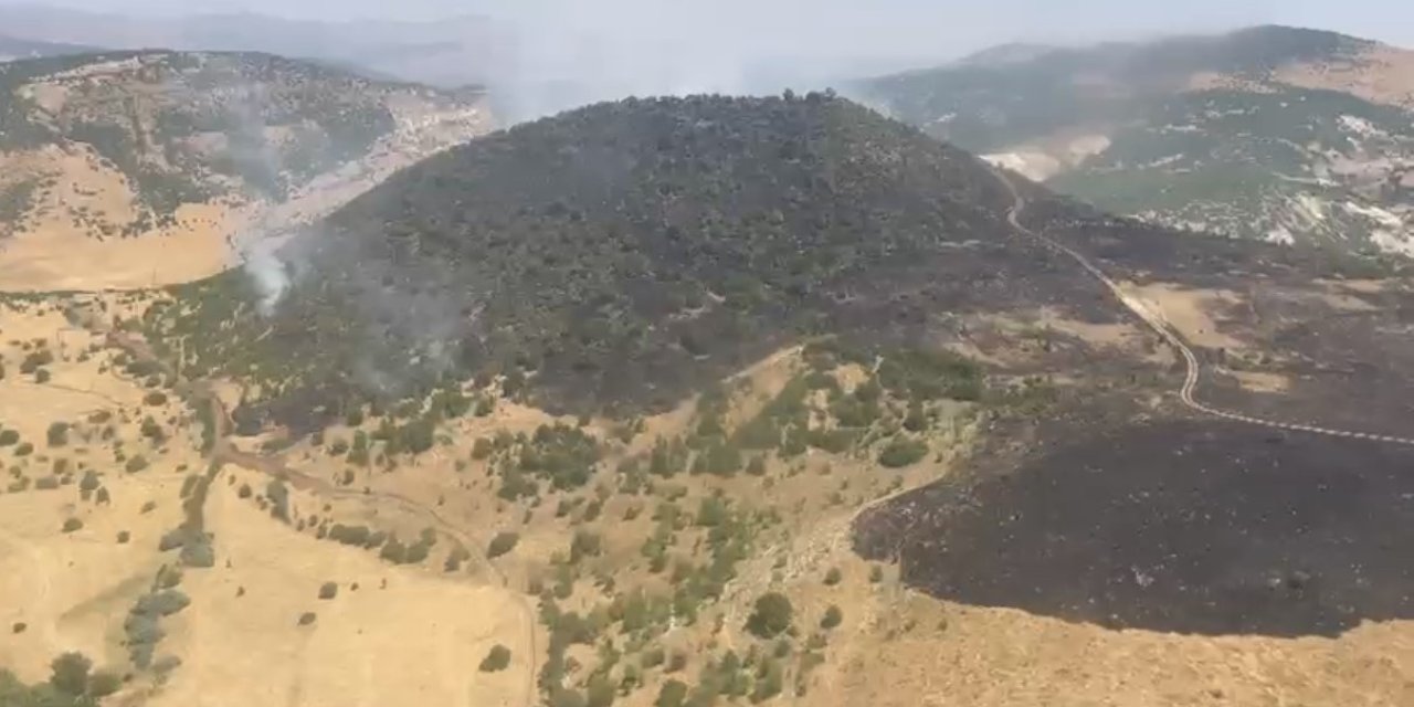 Elazığ’daki orman yangını kontrol altına alındı