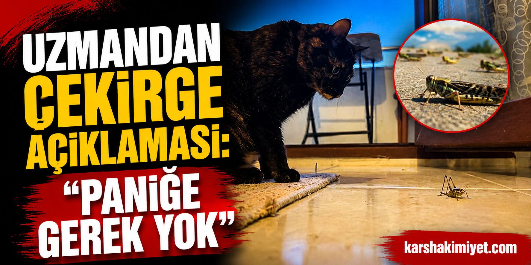 Uzmandan Çekirge Açıklaması: "Paniğe Gerek Yok"