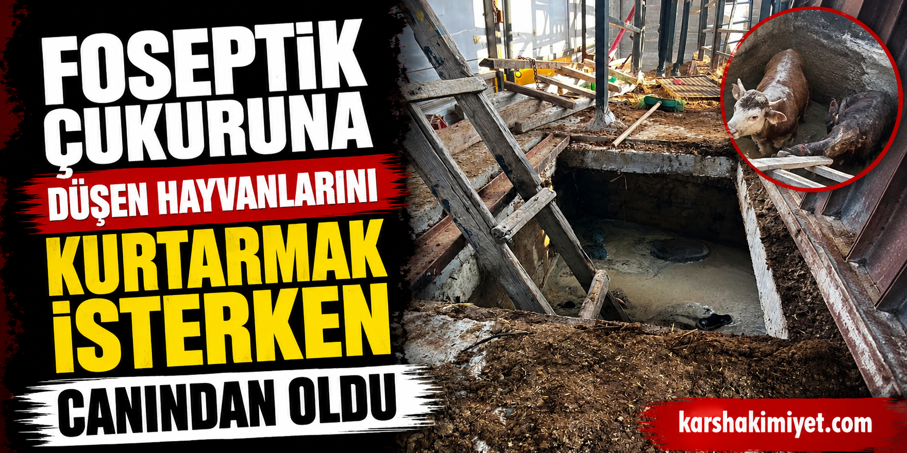 Foseptik Çukuruna Düşen Hayvanlarını Kurtarmak İsterken Canından Oldu