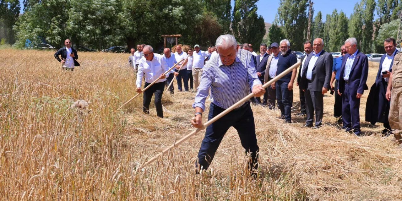 Binali Yıldırım Harman Şenliği’nde tırpan salladı