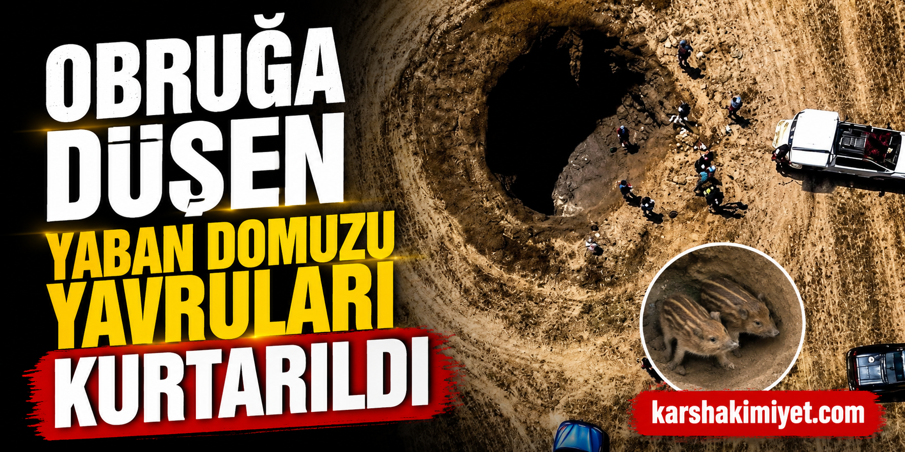 Obruğa düşen yaban domuzu yavruları kurtarıldı