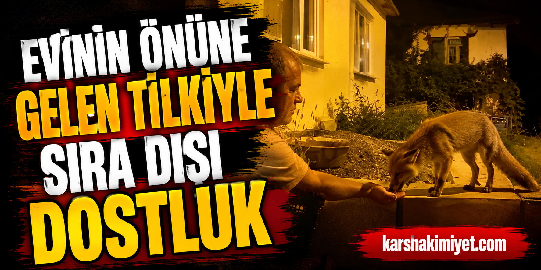Evinin Önüne Gelen Tilkiyle Sıra Dışı Dostluk