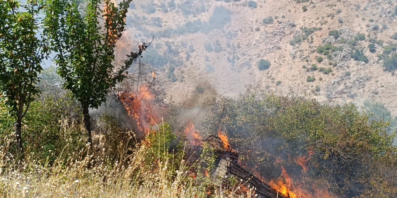 Malatya’da meyve bahçesi ve üzüm bağlarında yangın