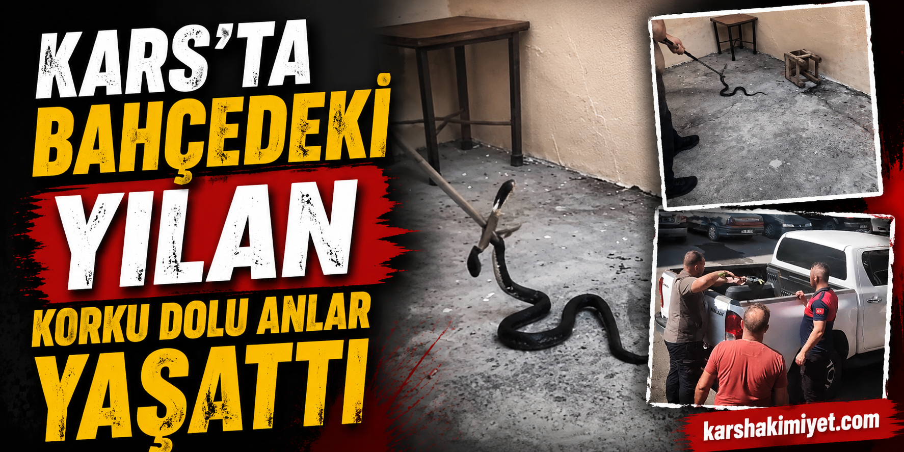 Kars'ta Bahçedeki Yılan Korku Dolu Anlar Yaşattı