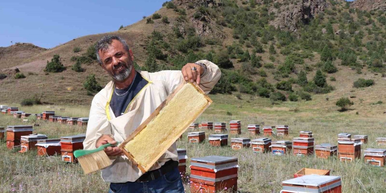 Oltu’da sezonun ilk bal hasadı yapıldı