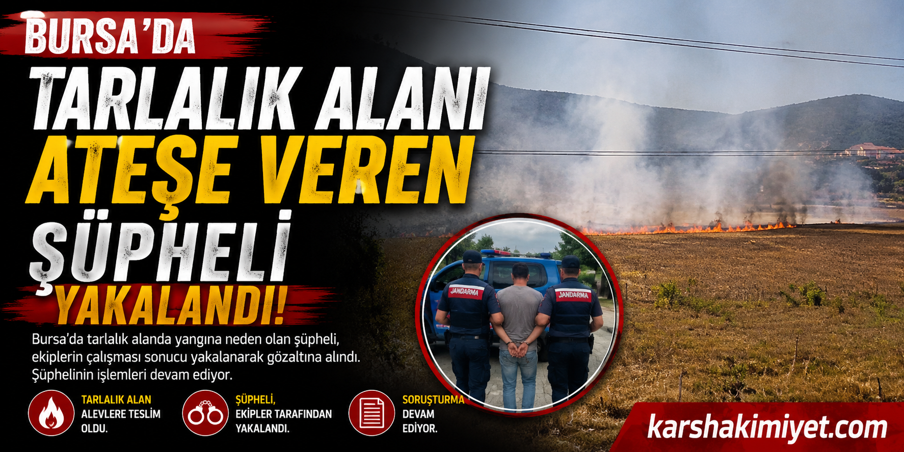Bursa'da tarlalık alanı ateşe veren şüpheli yakalandı