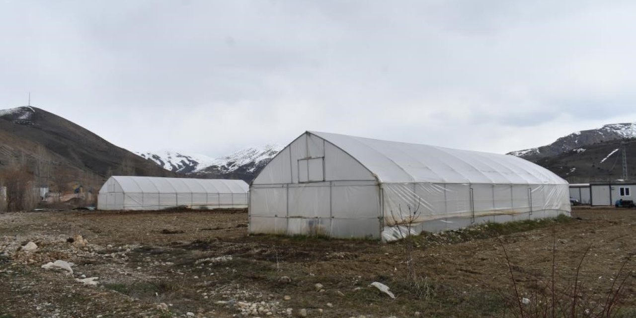 Erzincan’da sera örtüsü yenileme desteği başvuruları uzatıldı