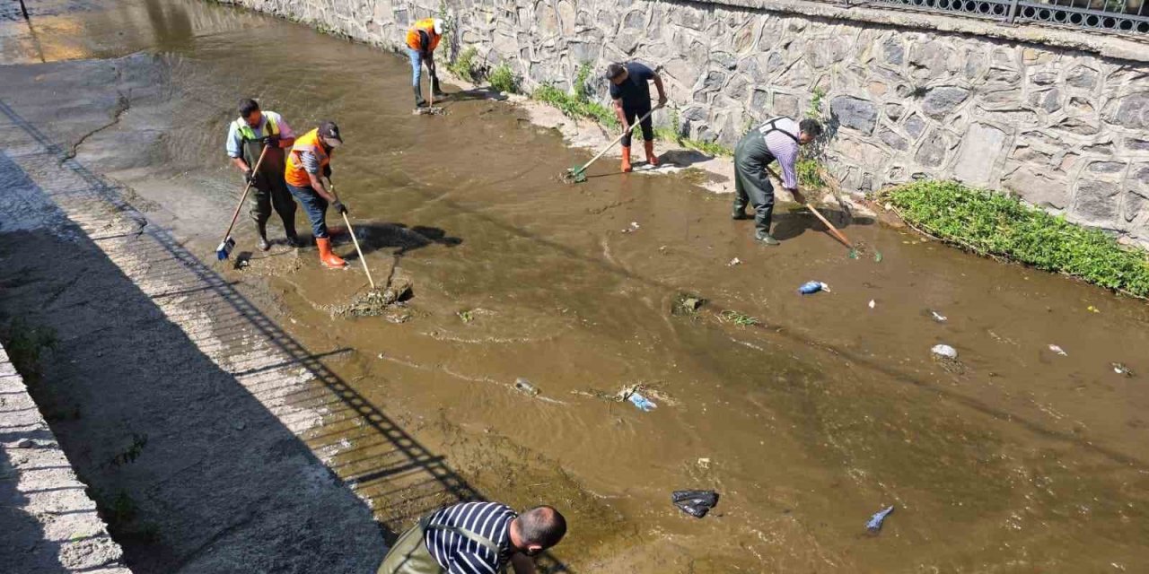 Alabalık deresi Belediye ekiplerince temizlendi
