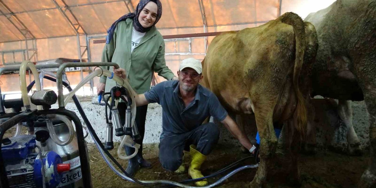 16 yıldır dijital pazarlamacıydı, şimdi süt sağıp tereyağı yapıyor