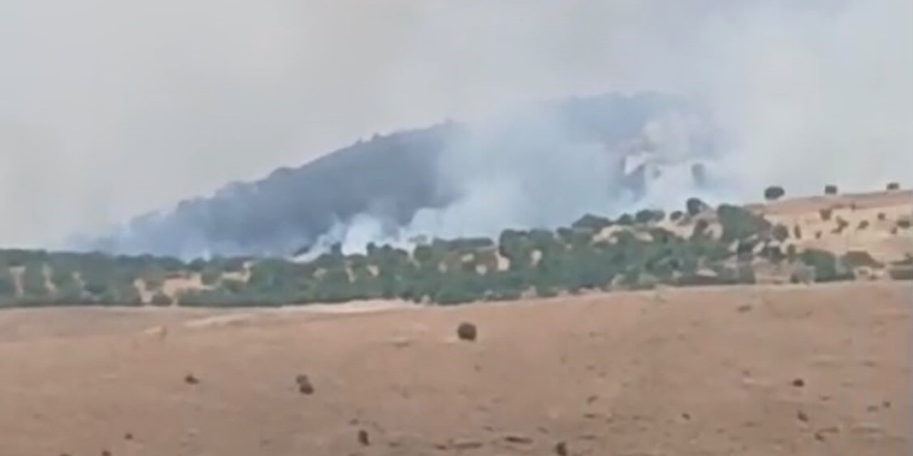 Pütürge’de orman ve örtü yangını